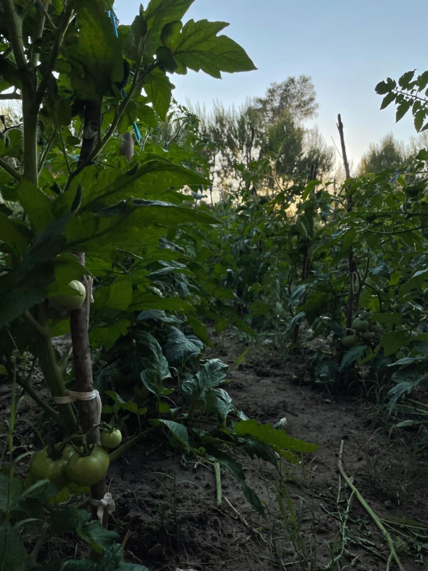 Agroturizem Eldi Hotel Fier Exterior foto