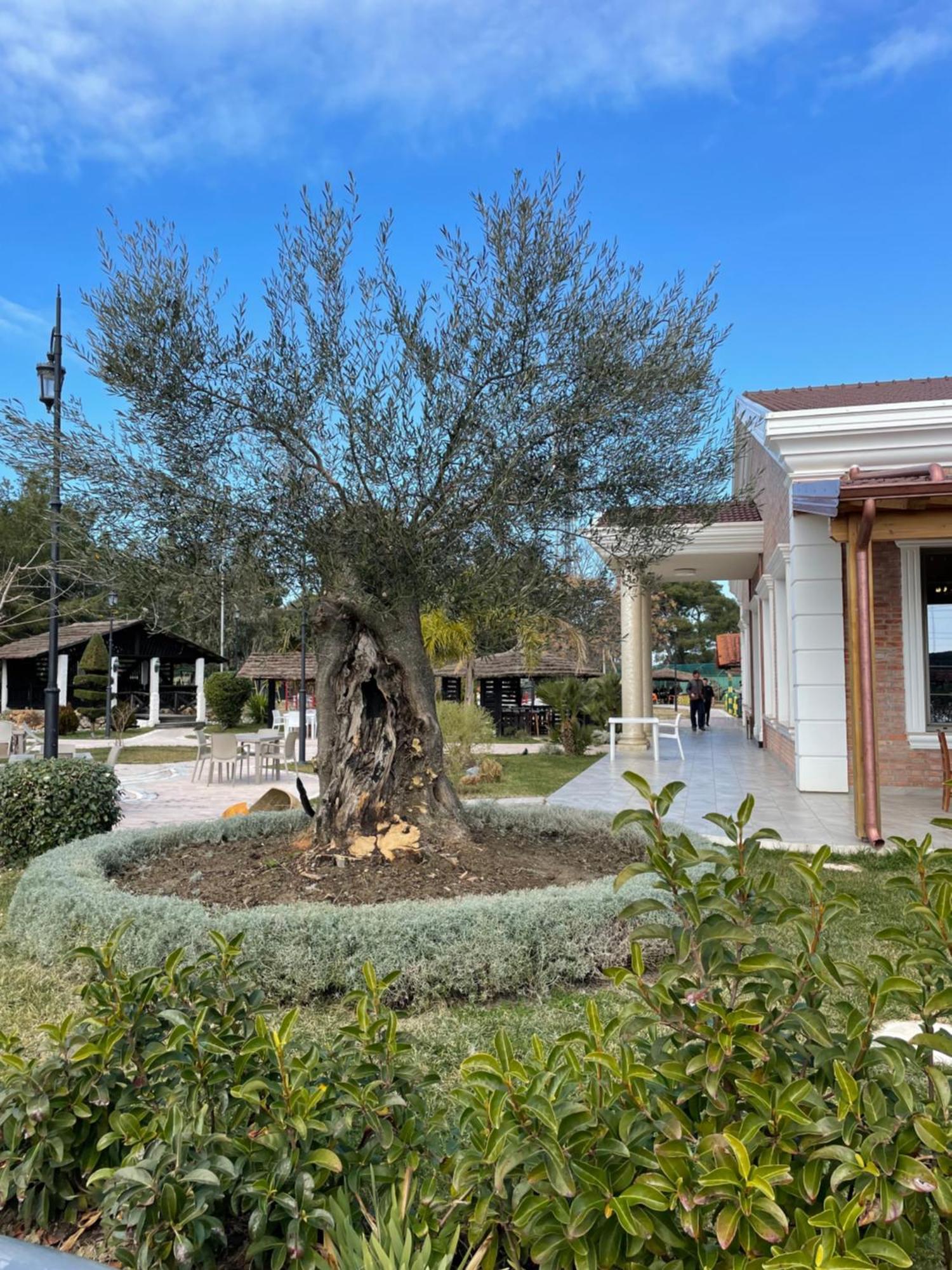 Agroturizem Eldi Hotel Fier Exterior foto